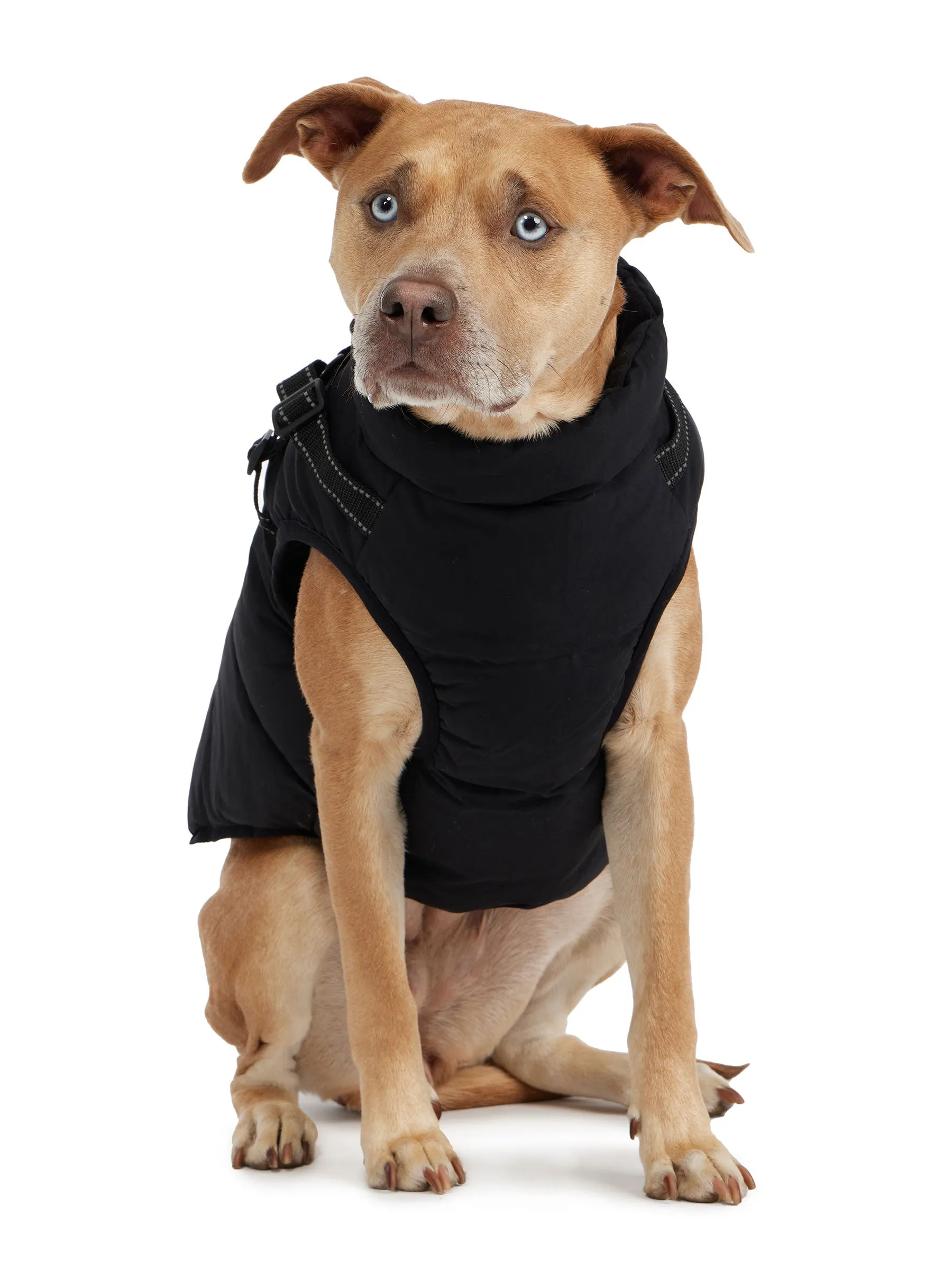 Atlas Puffer Jacket with Built-In Harness for Dogs