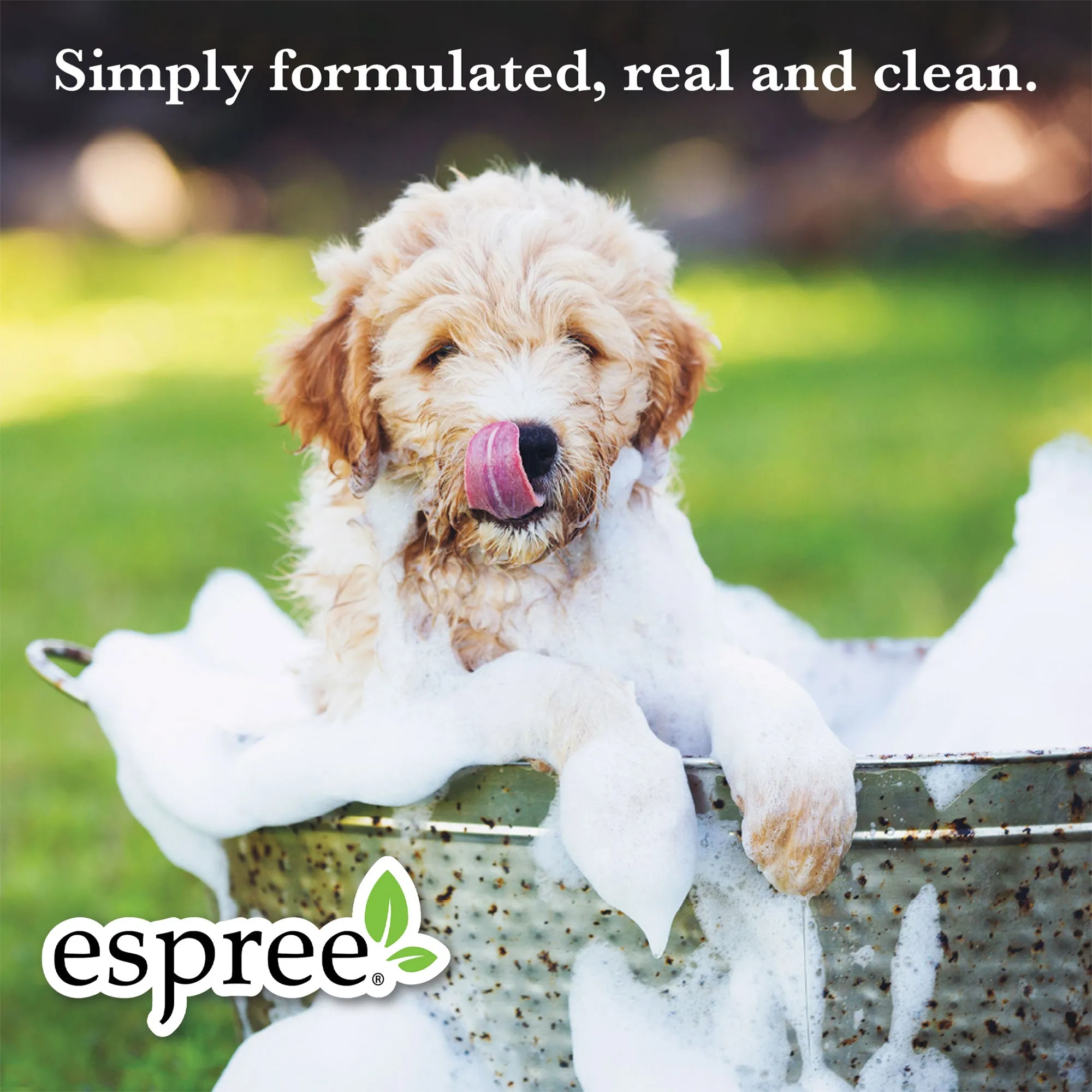 Espree Hypo Allergenic Shampoo For Dogs & Cats 20 Ounces