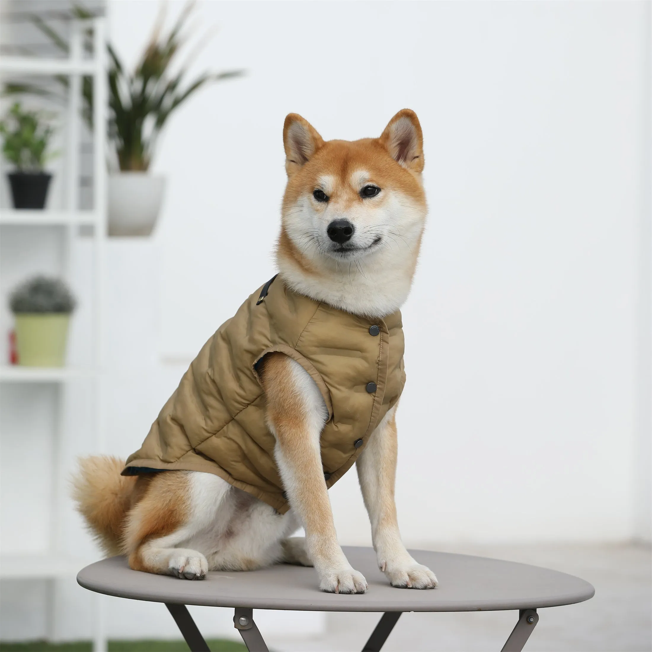 Sleeveless Button-up Jacket without Hood